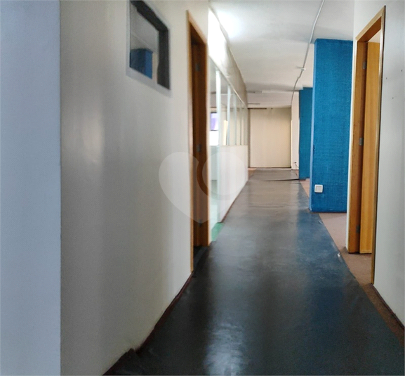 Foto REO1102552