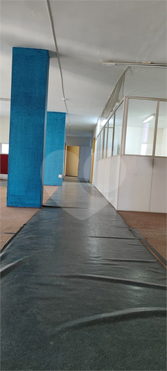 Foto REO1102553