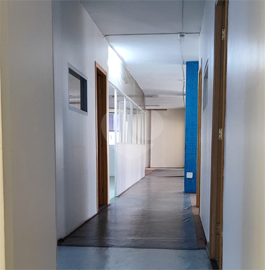 Foto REO1102553