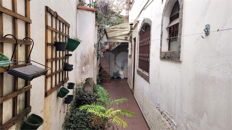 Foto REO1102558