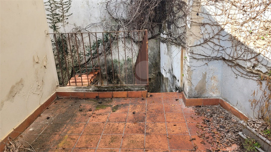 Foto REO1102558