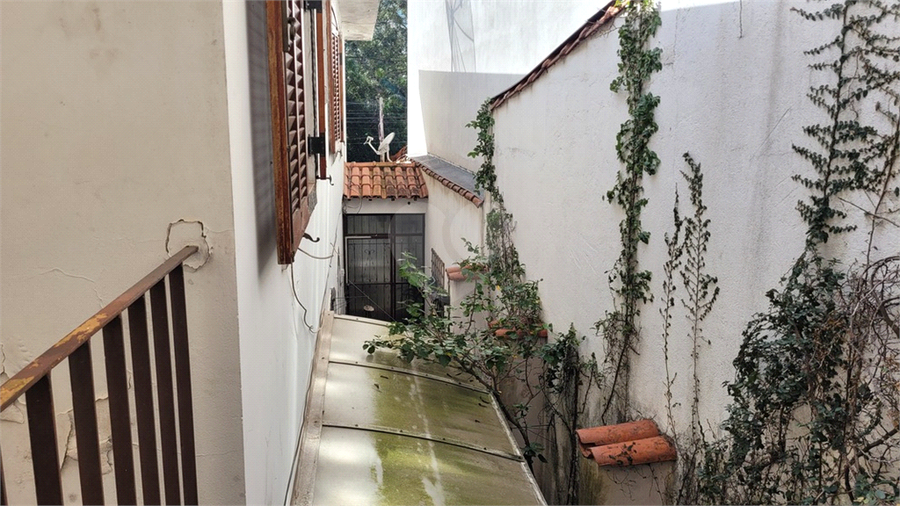 Foto REO1102558