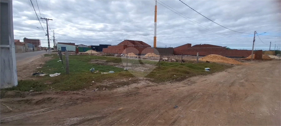 Foto REO1102566