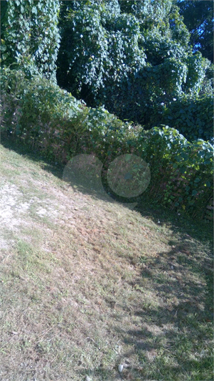 Foto REO1102572