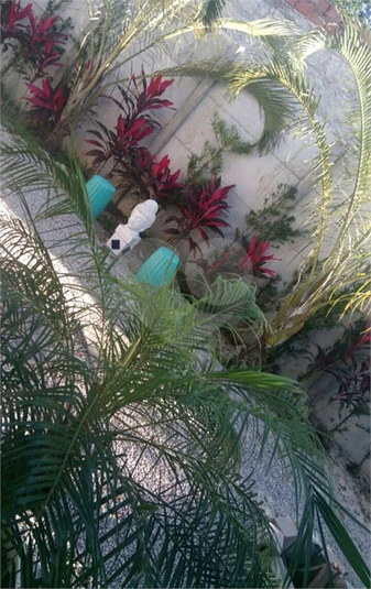 Foto REO1102572