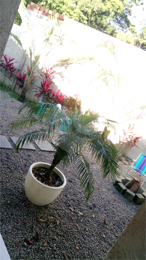 Foto REO1102572