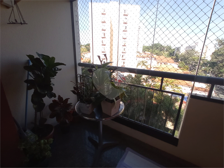 Foto REO1102588