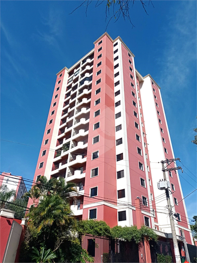 Foto REO1102588
