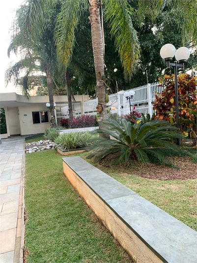 Foto REO1102595