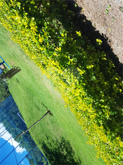 Foto REO1102609
