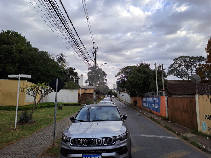 Foto REO1102614