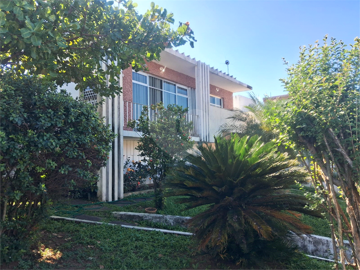 Foto REO1102626