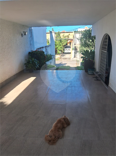 Foto REO1102626