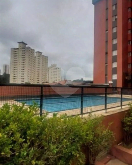 Foto REO1102630