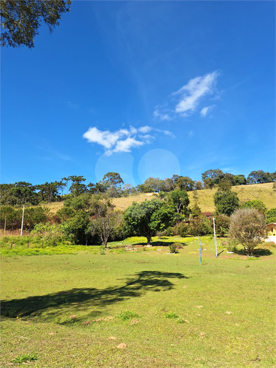 Foto REO1102634