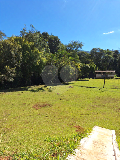 Foto REO1102634