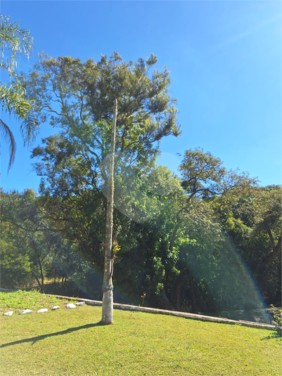 Foto REO1102634