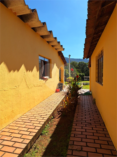 Foto REO1102634
