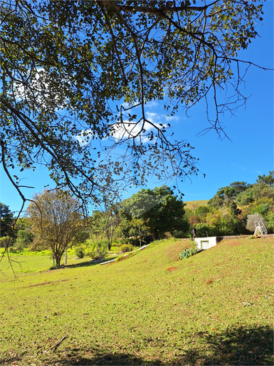 Foto REO1102634