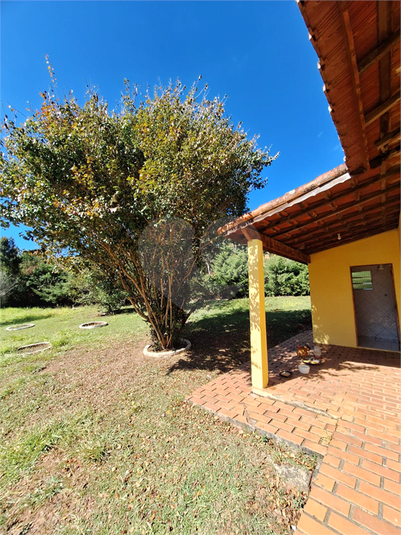 Foto REO1102634