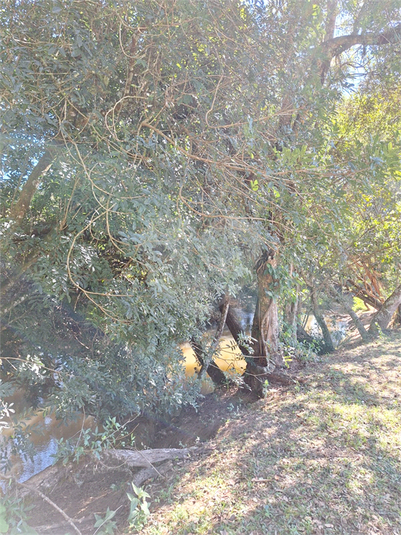 Foto REO1102634