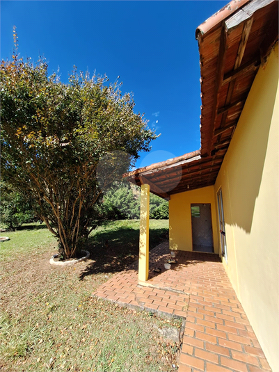Foto REO1102634