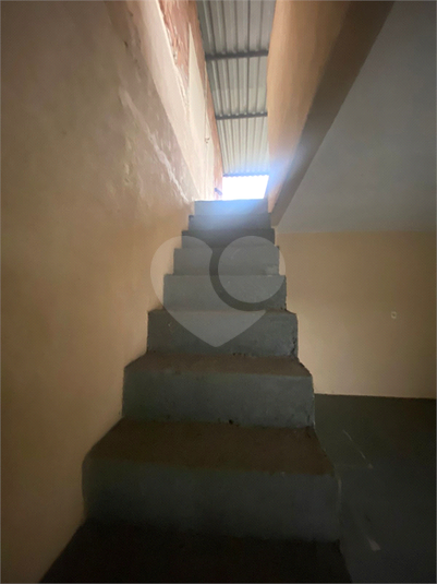 Foto REO1102639
