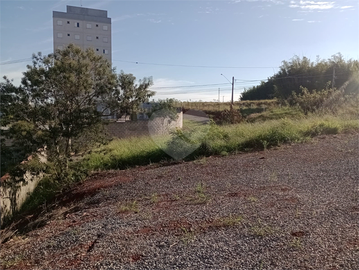Foto REO1102640