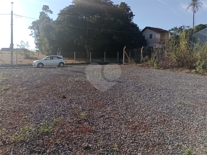 Foto REO1102640