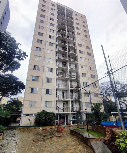 Foto REO1102643