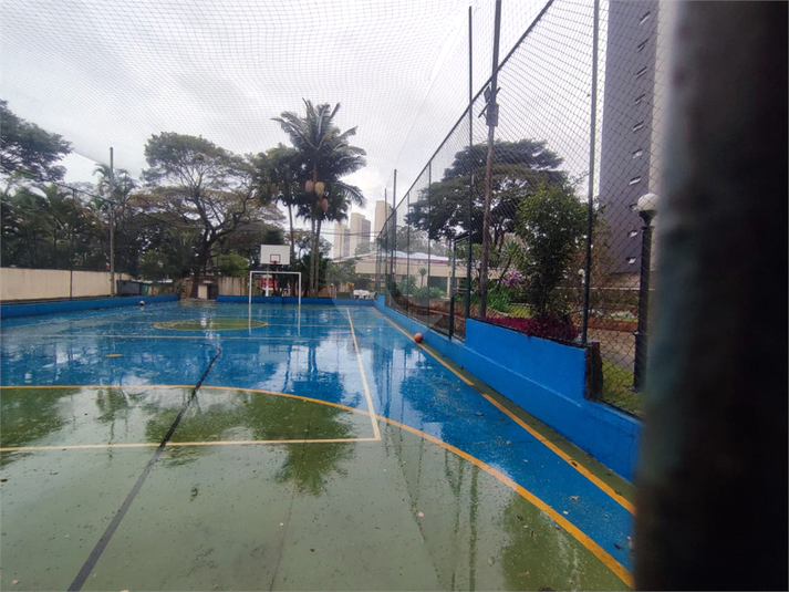 Foto REO1102643