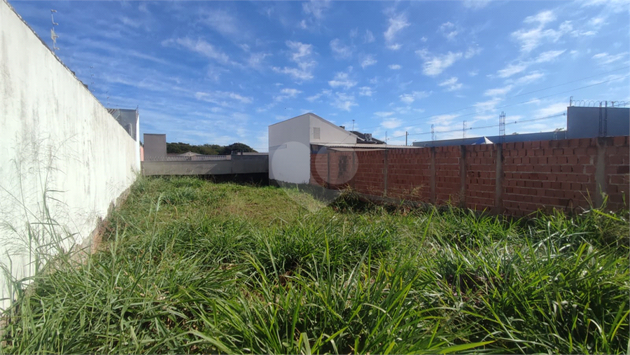 Foto REO1102686