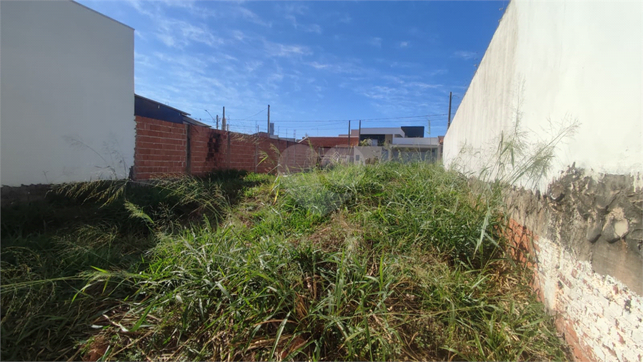 Foto REO1102686
