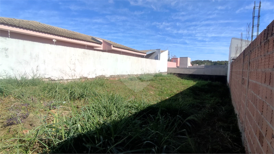 Foto REO1102686
