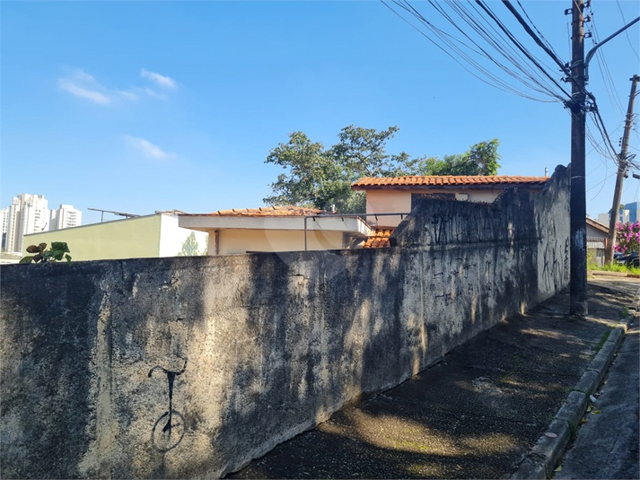 Foto REO1102692