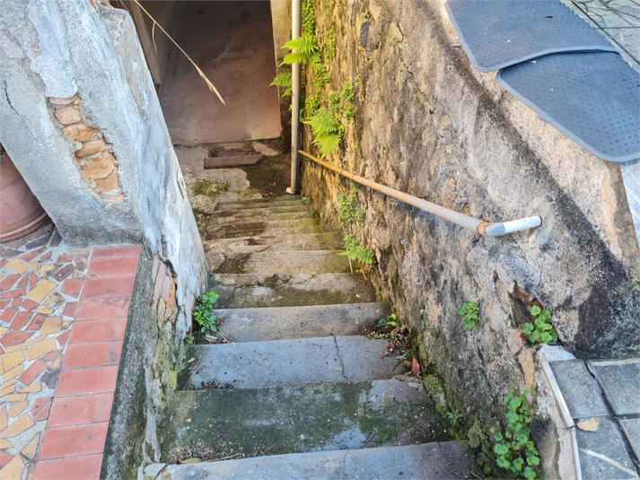 Foto REO1102692