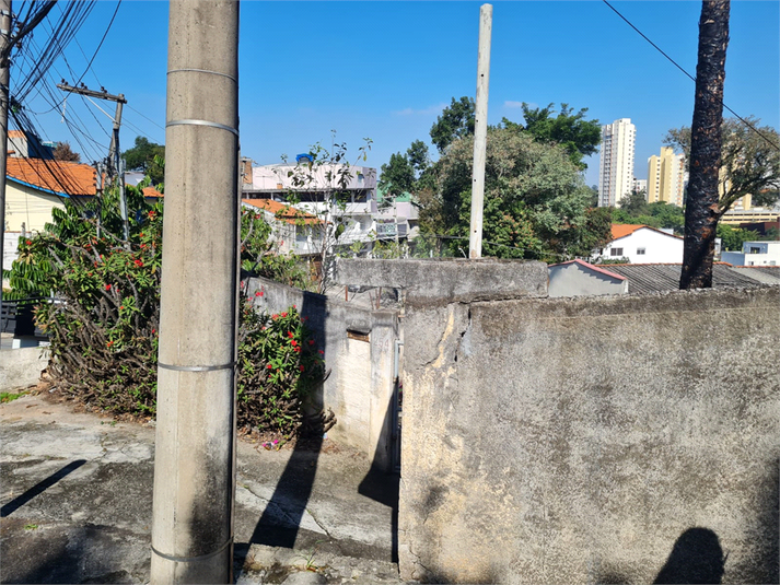 Foto REO1102692