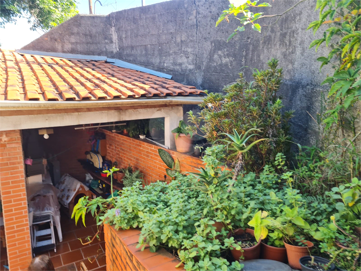 Foto REO1102692