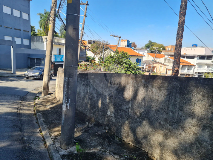 Foto REO1102692