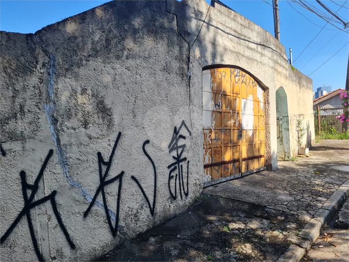 Foto REO1102692