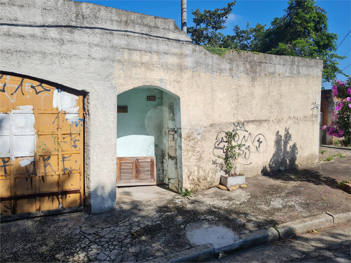 Foto REO1102692