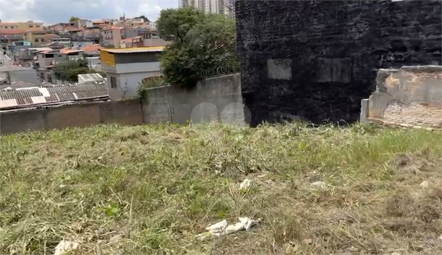 Foto REO1102725