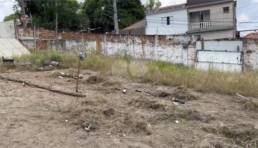 Foto REO1102725