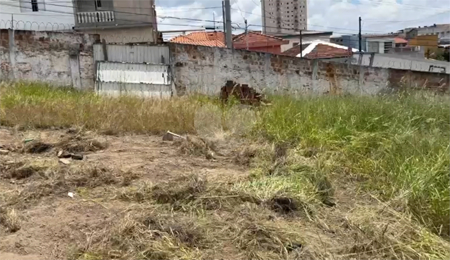 Foto REO1102725