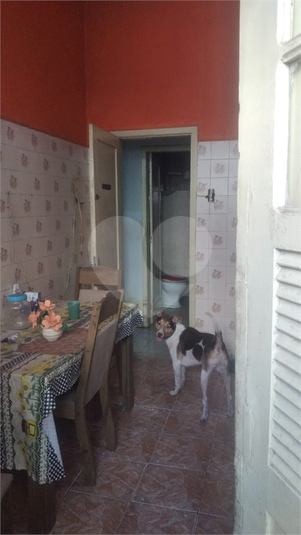 Foto REO1102730