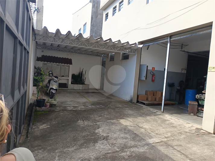 Foto REO1102744
