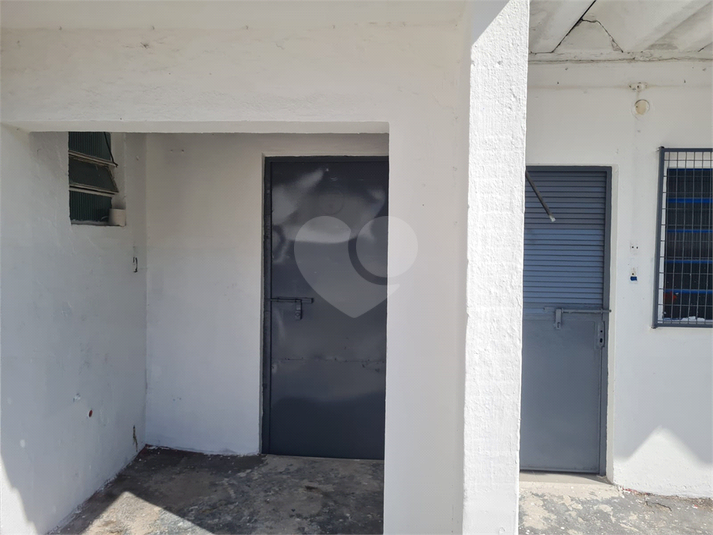 Foto REO1102747