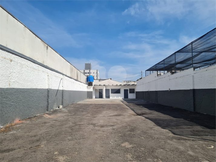 Foto REO1102747
