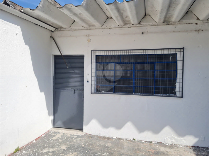 Foto REO1102747