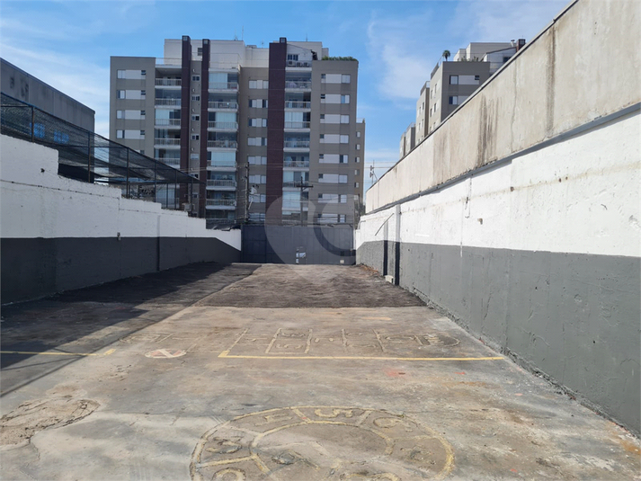 Foto REO1102747